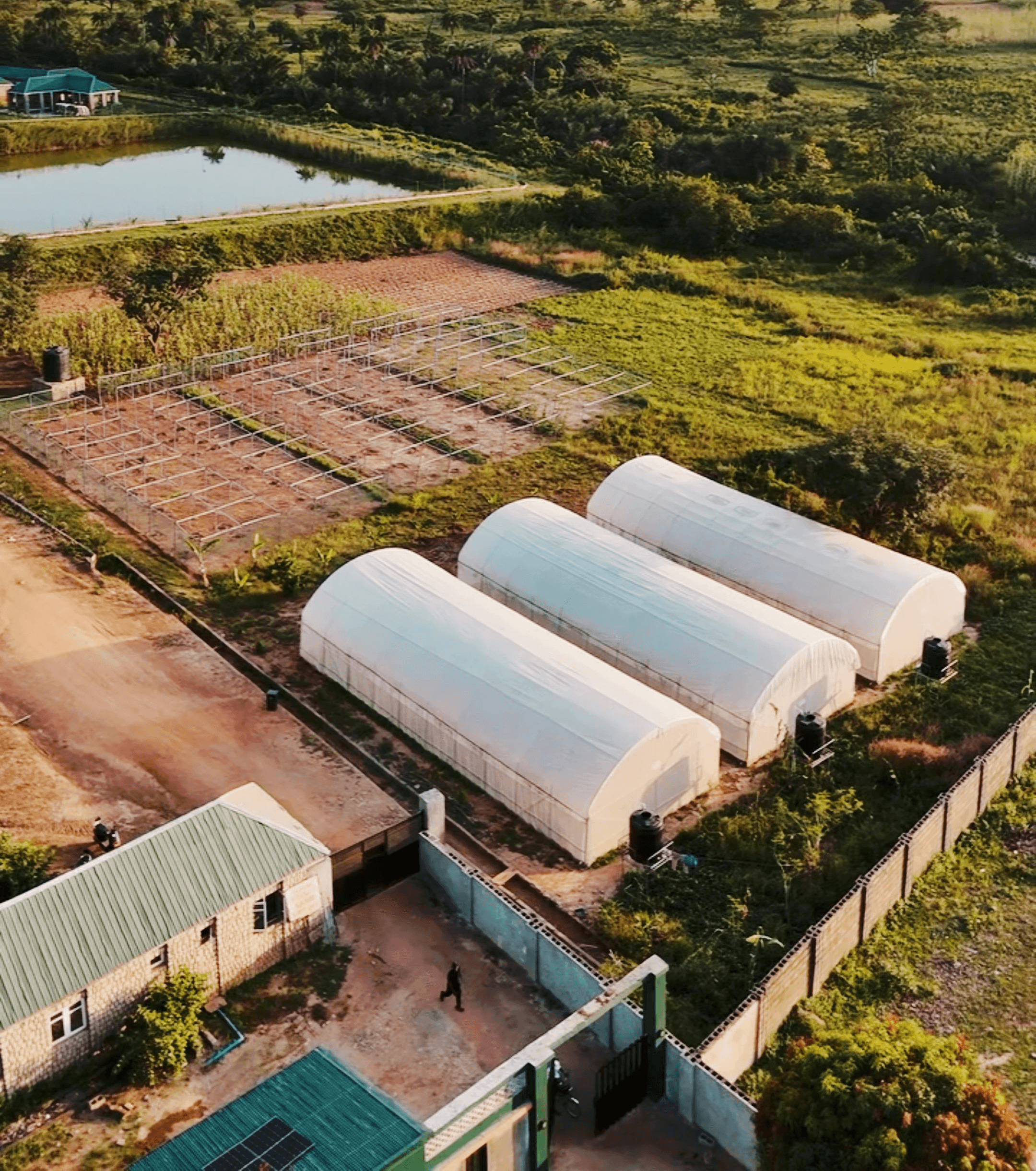 Greenhouse Facilities