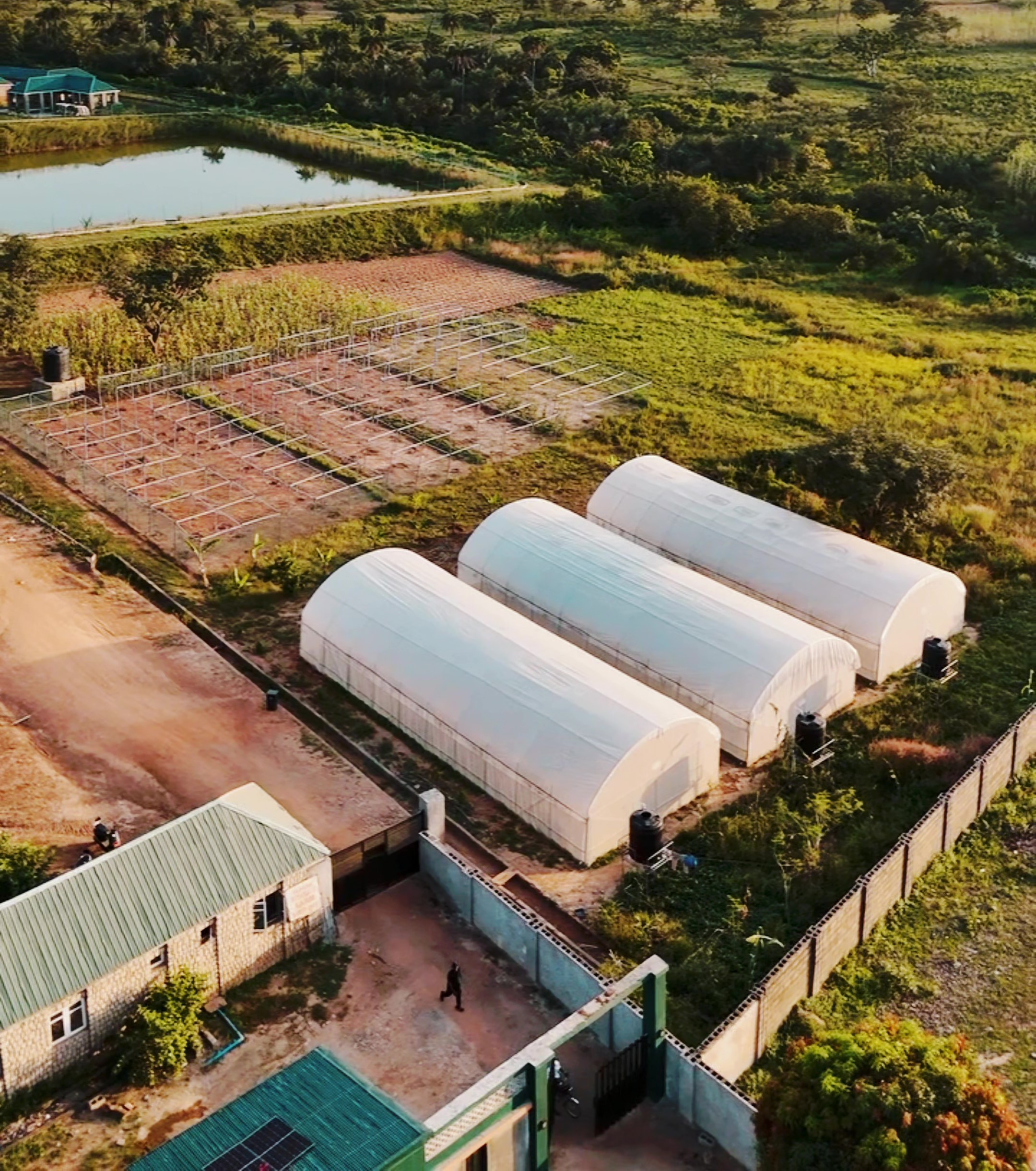 Greenhouse Facilities